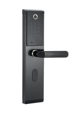 SS Standalone Fingerprint Recognition Door Locks 500DPI Black