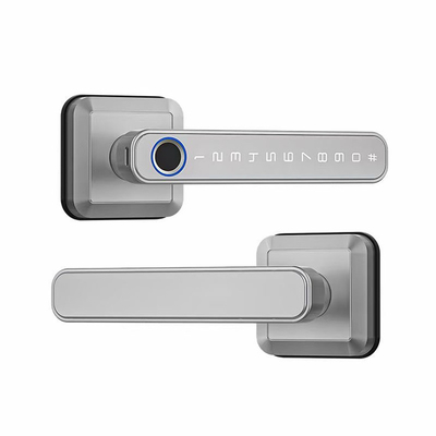 Multi Functional Fingerprint Door Locks Tuya Smart Door Lock Phone WiFi Remote Control