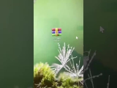 How to update our hotel lock system into 9.27C version