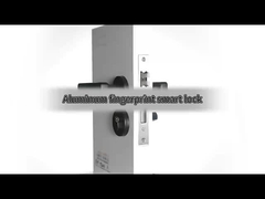 Home Tuya biometric intelligent door lock
