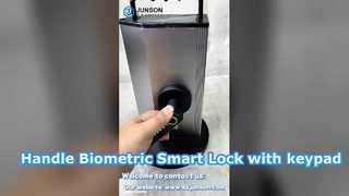 Indoor Handle Biometric Smart Lock