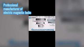 Professional manufacturer in electric magnetic lock