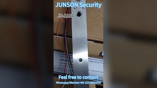 High Security Electric Door Lock JS 210D